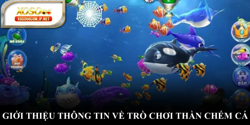 Giới thiệu thông tin về trò chơi thần chém cá